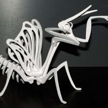 Intra απο ξύλο plywood 3mm-4mm πάχος - Αλογάκι της παναγίας Δίασταση 30x30 cm Intraeaxys-078y05o5 - Image 1