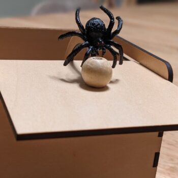 Intra απο ξύλο plywood 3mm-4mm πάχος - Spider Scare Box Δίασταση 30x30 cm Intraeaxys-51rrl8d1 - Image 1