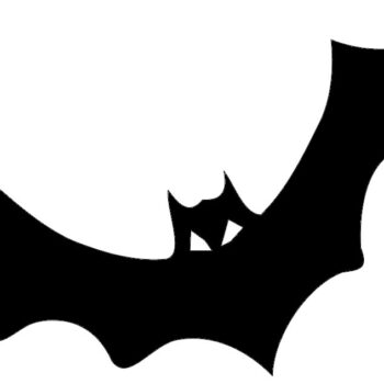 Intra απο ξύλο plywood 3mm-4mm πάχος - Νυχτερίδα φρίκης Δίασταση 30x30 cm Intraeaxys-r7vdkl7d - Image 1