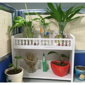 Intra απο ξύλο plywood 3mm-4mm πάχος - Οργανωτής γραφείου ραφιών Δίασταση 30x30 cm Intraeaxys-d1lv6zxo