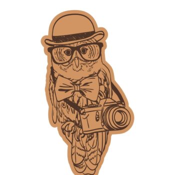 Intra απο ξύλο plywood 3mm-4mm πάχος - Κουκουβάγια που φοράει καπάκι με πρότυπο χαρακτικής κάμερας και γυαλιών Δίασταση 30x30 cm Intraeaxys-d1lvdxyo - Image 1