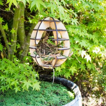 Intra απο ξύλο plywood 3mm-4mm πάχος - Αρχείο PDF προτύπου Birdhouse Δίασταση 40x50 cm Intraeaxys-r7vm4k27 - Image 1