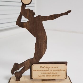 Intra απο ξύλο plywood 3mm-4mm πάχος - Βόλεϊ Sports Trophy Δίασταση 30x30 cm Intraeaxys-d1lv3rzo - Image 1