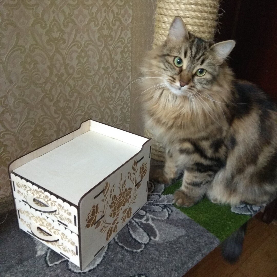 Intra απο ξύλο plywood 3mm-4mm πάχος - Συρταριέρα 3 4 χλστ Δίασταση 30x30 cm Intraeaxys-078y60jo