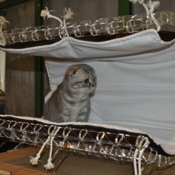 Intra απο ξύλο plywood 3mm-4mm πάχος - Krovatka Cat Δίασταση 30x30 cm Intraeaxys-zo9xmeok - Image 1