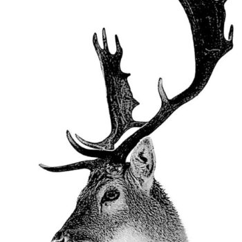 Intra απο ξύλο plywood 3mm-4mm πάχος - Αρχείο BMP ελαφιών Δίασταση 30x30 cm Intraeaxys-075y8r0o - Image 1