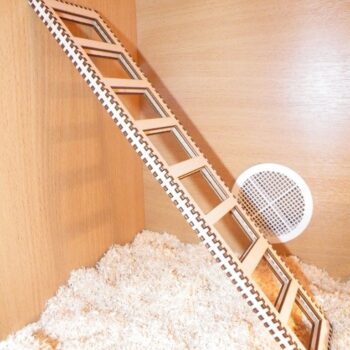 Intra απο ξύλο plywood 3mm-4mm πάχος - Σκάλα παιχνιδιών Δίασταση 40x50 cm Intraeaxys-d1lv0jgo - Image 3