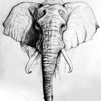 Intra απο ξύλο plywood 3mm-4mm πάχος - Ελέφαντας χαρακτικής με λέιζερ Δίασταση 30x30 cm Intraeaxys-ro6y9lm7 - Image 1