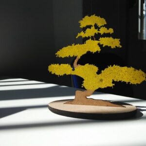 Intra απο ξύλο plywood 3mm-4mm πάχος - Μπονσάι Δίασταση 30x30 cm Intraeaxys-voq8r6o2