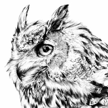 Intra απο ξύλο plywood 3mm-4mm πάχος - Αρχείο προτύπου BMP για χάραξη με λέιζερ Eagle Owl Δίασταση 30x30 cm Intraeaxys-e1gklqmo - Image 1