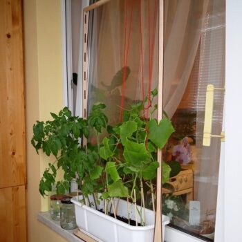 Intra απο ξύλο plywood 3mm-4mm πάχος - Πλαίσιο στήριξης αμπέλου αναρριχώμενης βάσης λουλουδιών Δίασταση 30x30 cm Intraeaxys-eo0q6401 - Image 1