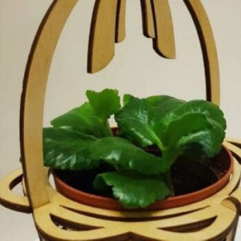 Intra απο ξύλο plywood 3mm-4mm πάχος - Ξύλινη βάση στήριξης για γλάστρα Δίασταση 30x30 cm Intraeaxys-yon0d5x7 - Image 1