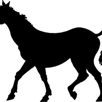 Intra απο ξύλο plywood 3mm-4mm πάχος - Περπάτημα αλόγων Δίασταση 30x30 cm Intraeaxys-lop5857w - Image 1