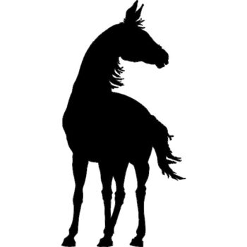 Intra απο ξύλο plywood 3mm-4mm πάχος - Όρθιος αλόγων Δίασταση 30x30 cm Intraeaxys-ro6vx67x - Image 1