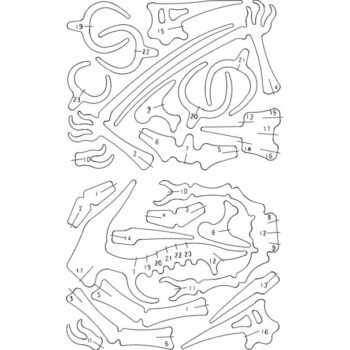 Intra απο ξύλο plywood 3mm-4mm πάχος - Velociraptor Δίασταση 30x30 cm Intraeaxys-poklq37j - Image 1