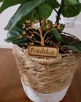 Intra απο ξύλο plywood 3mm-4mm πάχος - Ετικέτα δέντρου Δίασταση 30x30 cm Intraeaxys-voq2pg6o - Image 1