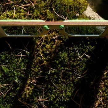 Intra απο ξύλο plywood 3mm-4mm πάχος - Διακοσμητικά γυαλιά από κόντρα πλακέ Δίασταση 30x30 cm Intraeaxys-6o3yw6q7 - Image 4