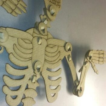 Intra απο ξύλο plywood 3mm-4mm πάχος - Αρθρωτός σκελετός Δίασταση 30x30 cm Intraeaxys-p7yr9qzo - Image 3