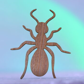 Intra απο ξύλο plywood 3mm-4mm πάχος - Ημιτελής κοπή ξύλου μυρμηγκιών Δίασταση 30x30 cm Intraeaxys-yon033x7 - Image 2