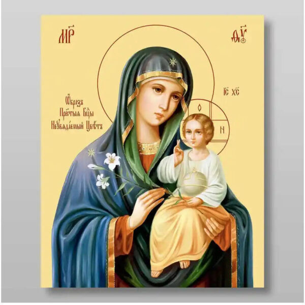 1760636952_il_794xN.5941011051_3s0j