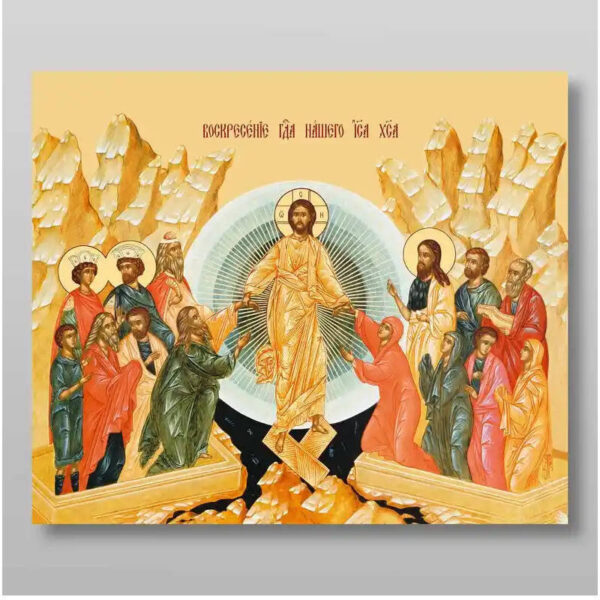 1760637032_il_794xN.5806634789_55fn